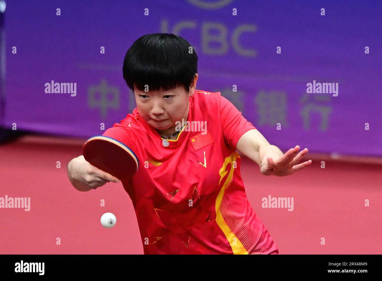 达龙福克斯能否成为NBA巨星他的未来上限究竟有多高
